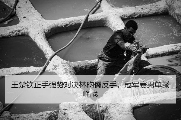 王楚钦正手强势对决林昀儒反手，冠军赛男单巅峰战