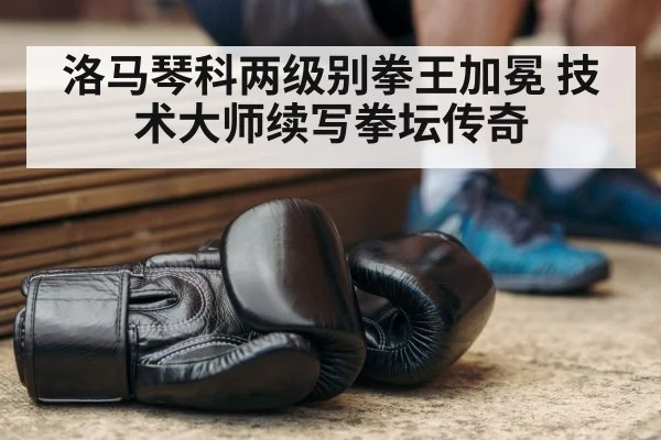 洛马琴科两级别拳王加冕 技术大师续写拳坛传奇