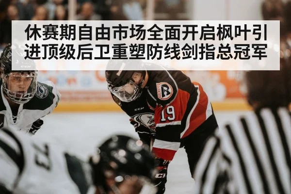休赛期自由市场全面开启枫叶引进顶级后卫重塑防线剑指总冠军