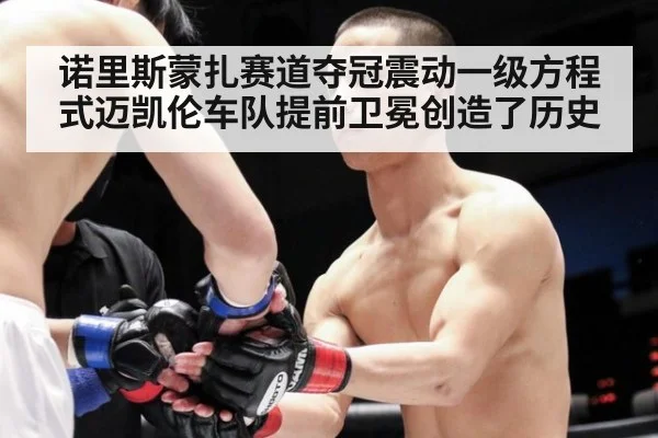 诺里斯蒙扎赛道夺冠震动一级方程式迈凯伦车队提前卫冕创造了历史